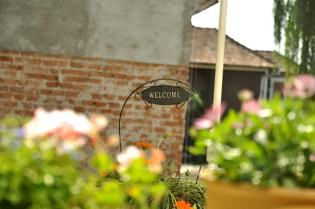 Home Tara Hateg Luaran gambar